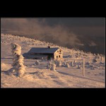 V posledním světle