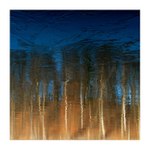 ledový tanec pod hvězdami