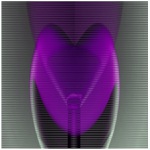 srdce na dne pohára