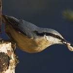 nejsem žádný troškař... :)