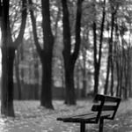 Podzim v černobílem kinofilmu !!!