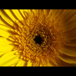 ***POHLED DO NITRA II.***