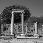 The witnesses of time - VIII