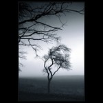 Kupčíci s duchovnem