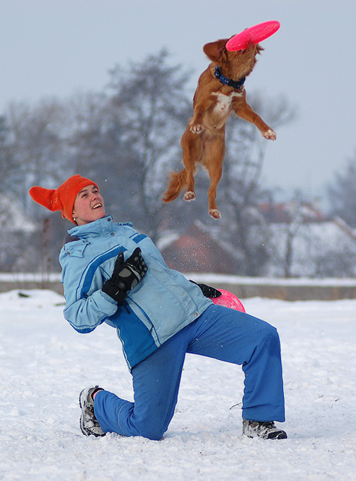 Flying dog I.