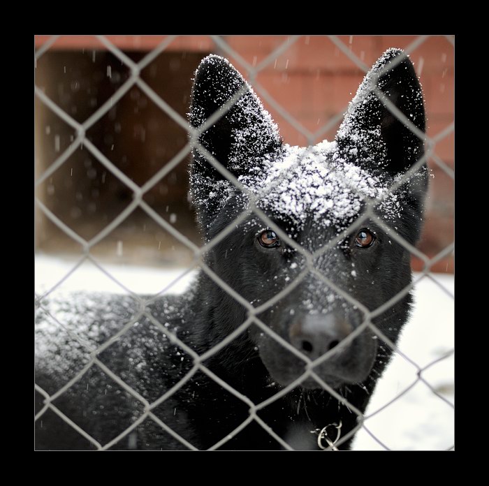 těžký úděl hlídače