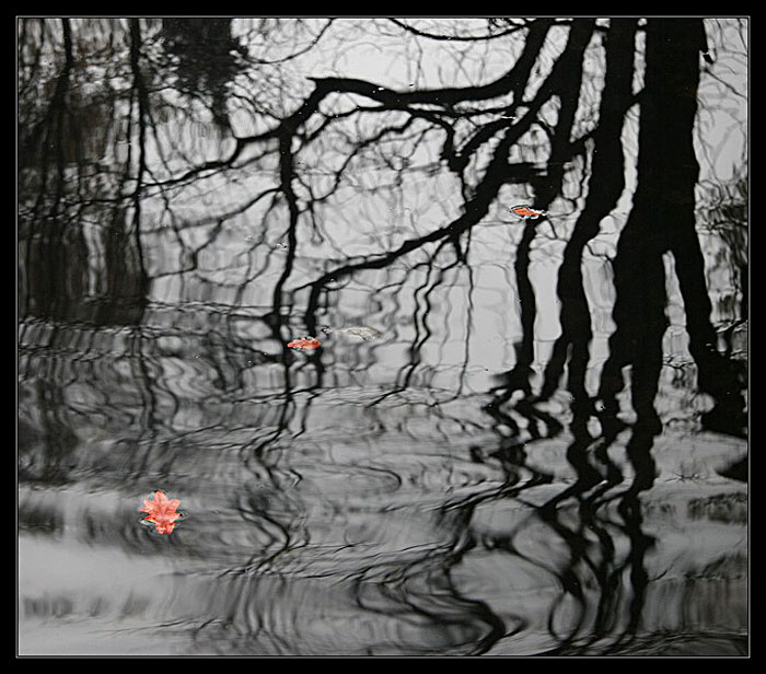 ..a podzim své barvy zabalil