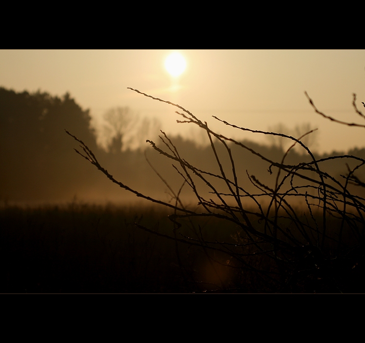 Večerní uspávání