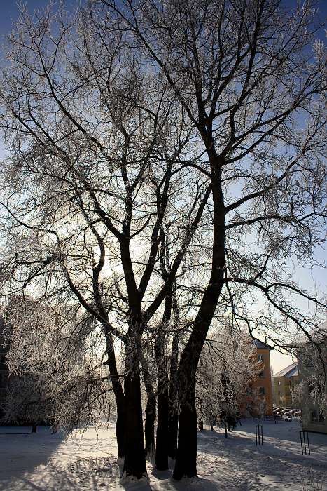 Tanečníci