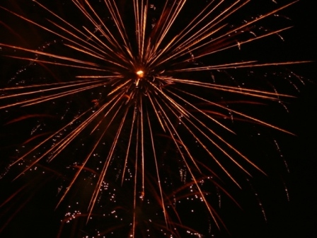 PF2009