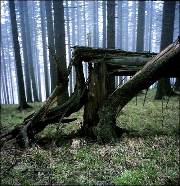 Fotografie    1.