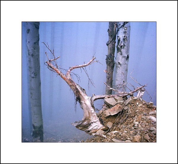 Fotografie  3.