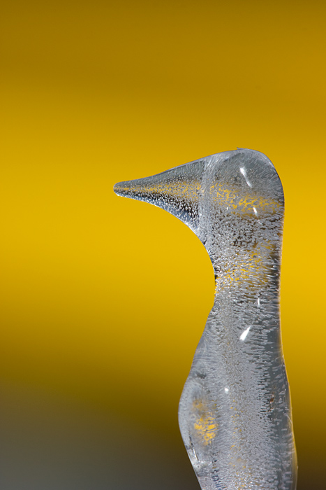 Goose - Husa