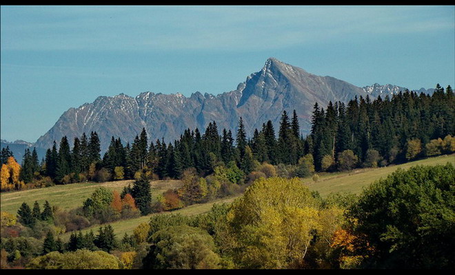 Kriváň
