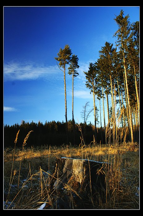 Stromovka