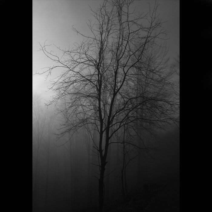  strom