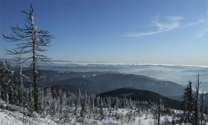 Bold Mountain