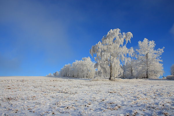 Frozen land