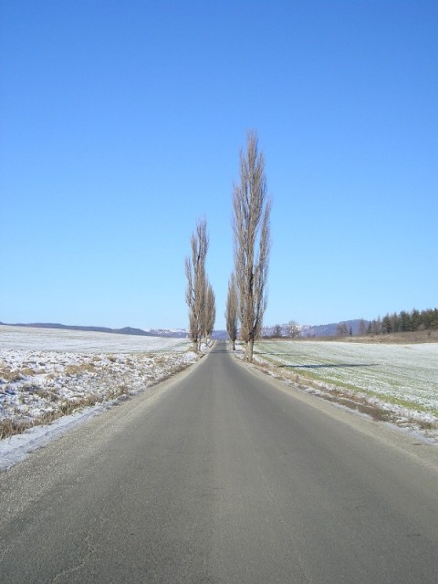 Alej I