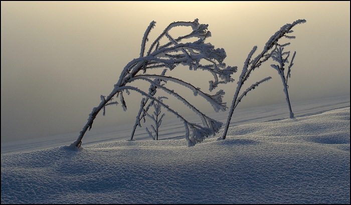 Brrr...mrzne!