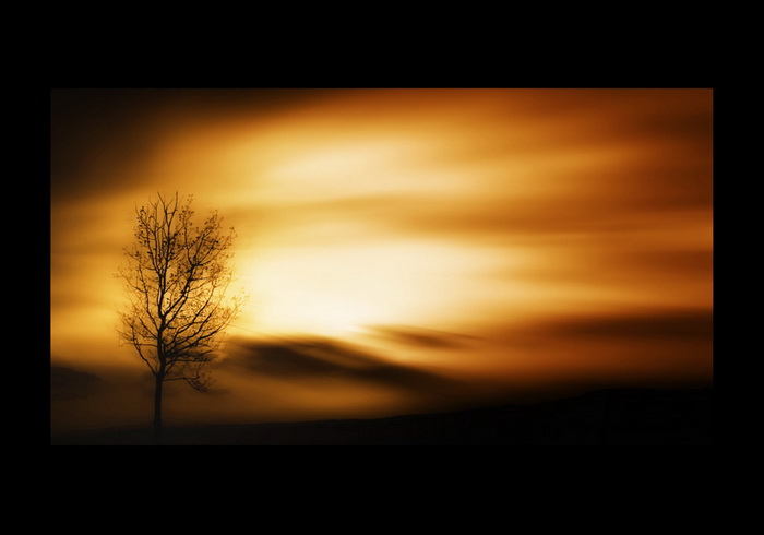 Sunwind