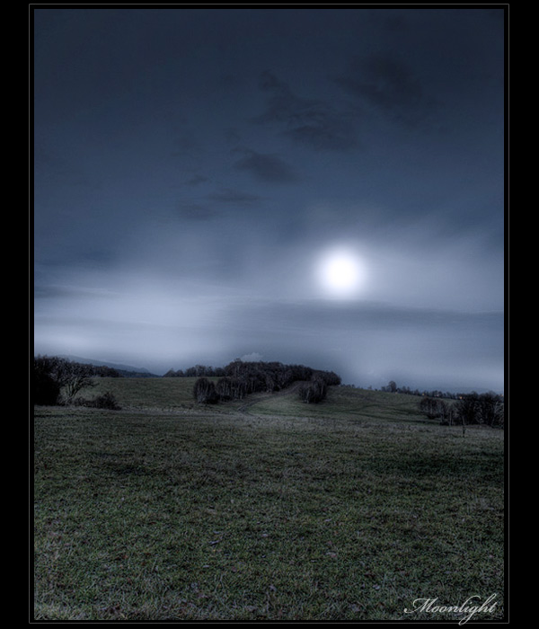Moonlight