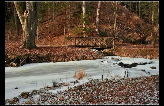 Novohradské hory - Terčino údolí