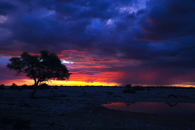 Etoša