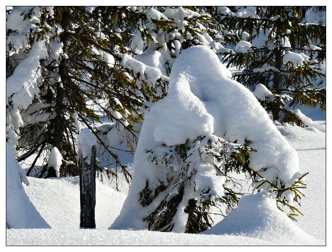 Zimní Krajina-Krakonoš