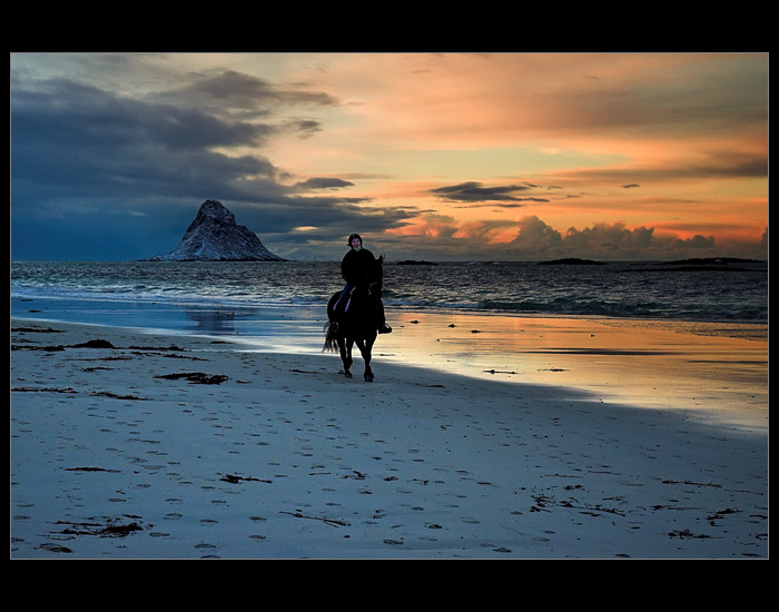 Polar night rider