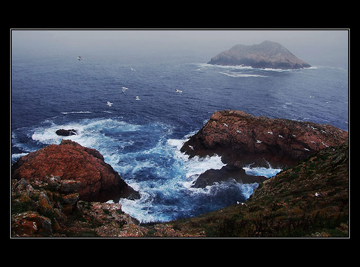 Berlengas