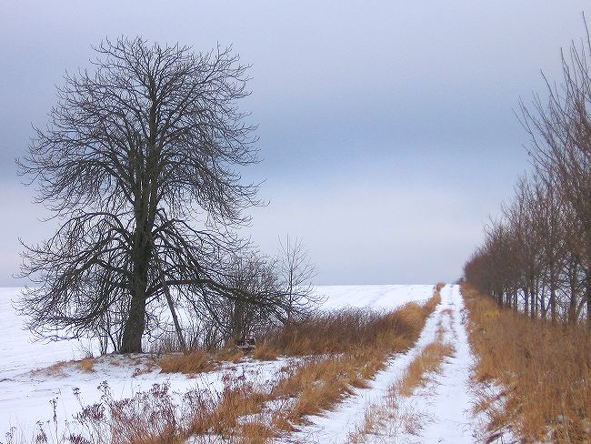 na konci cesty