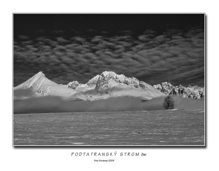 Podtatranský strom bw