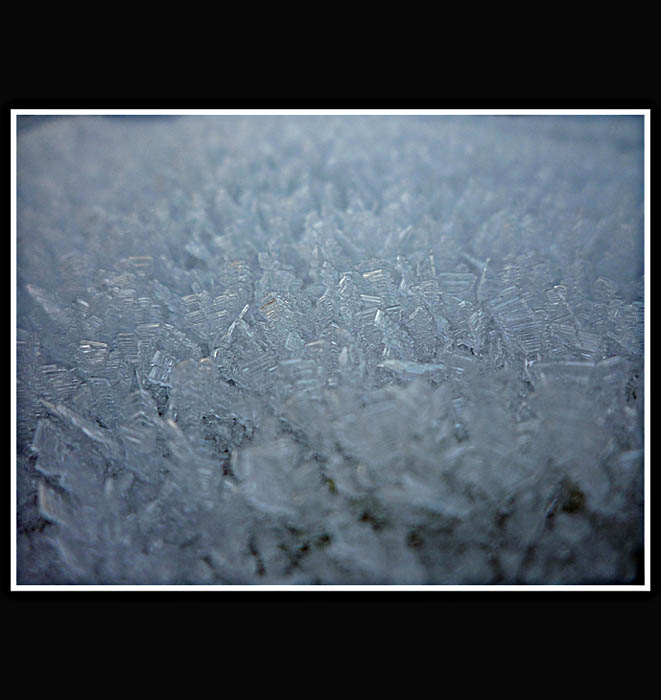 ledové království