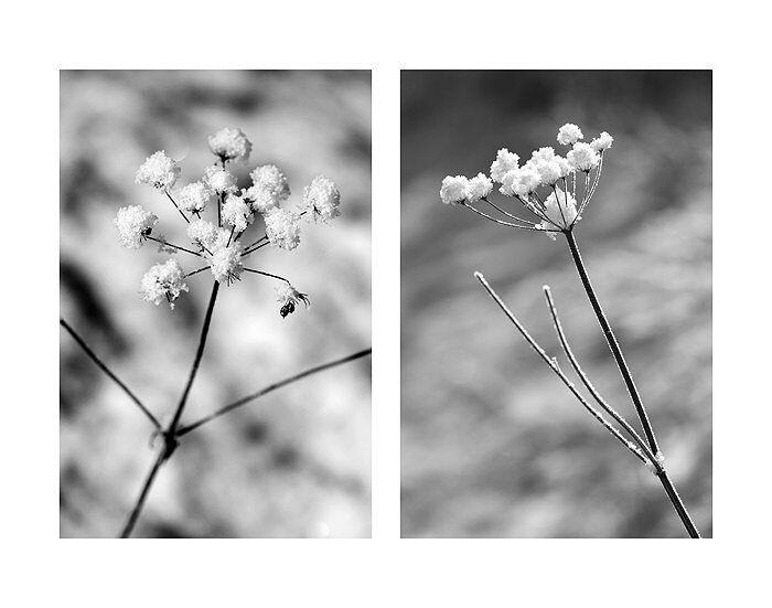 *** Rozcvička ...á raz a dva :)...***