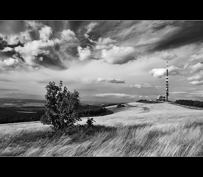 Na karpatských pláních