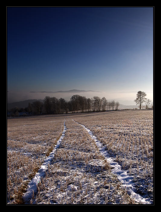 ... polem, nepolem ...