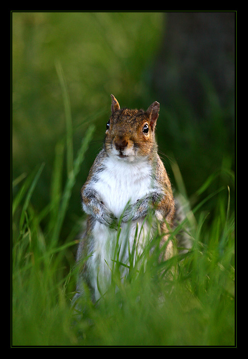 ... co se deje v trave ...