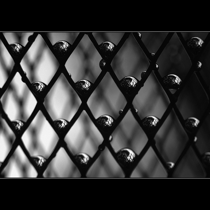 ***TAJEMSTVÍ ZAHRADY***