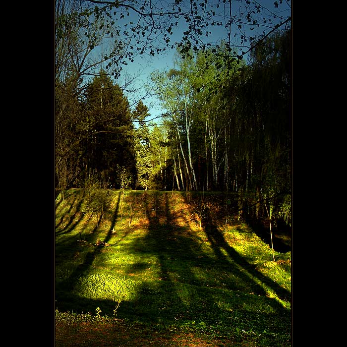 ***USÍNÁNÍ STROMŮ***