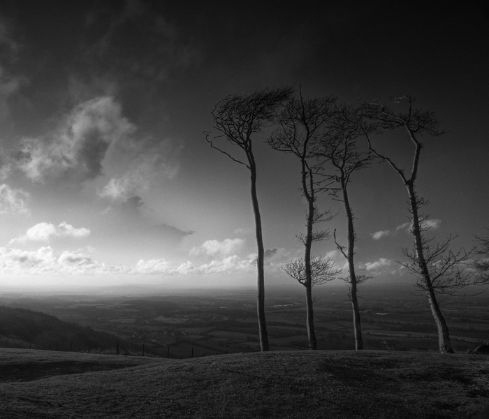 Chactonbury Ring | West Sussex | UK