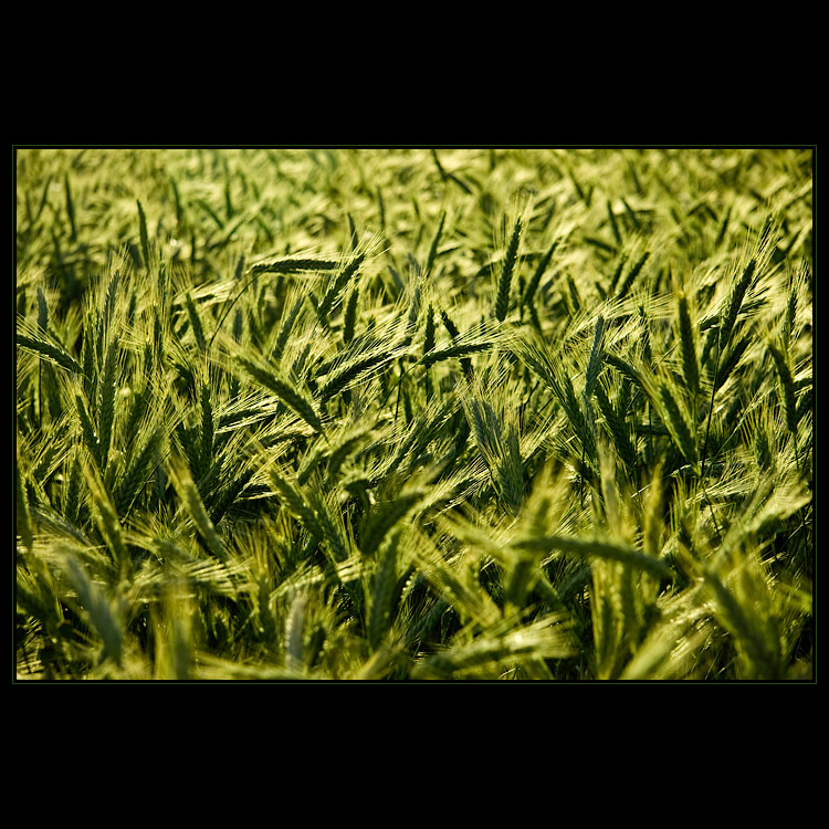 Najít tu, kterou hledáš..