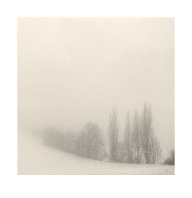 nebel