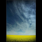 .: MODRÁ A ŽLUTÁ :.