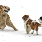 tak už za mnou utíkejte a nestůjte tam, ne?