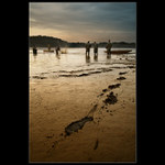 * ze života rybářů III. ...STOPA*