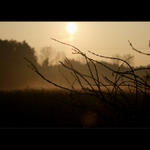 Večerní uspávání