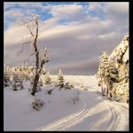 ...stačí dobře namazat