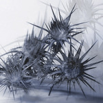 Nepříjemné vzpomínky