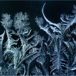 Emoce Ledové královny